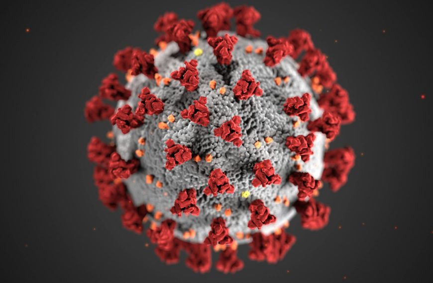 A coronavirus update